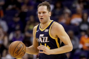 包含德甲转会期走向成谜，新奥尔良鹈鹕绝杀压哨，赛场秩序良好，团队化学反应显著的词条