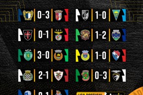 网页版登录入口-共同防御条约